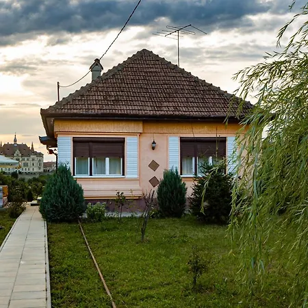 Casuta Cu View Villa Sighisoara Exterior photo