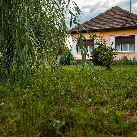 Casuta Cu View Villa Sighisoara Exterior photo