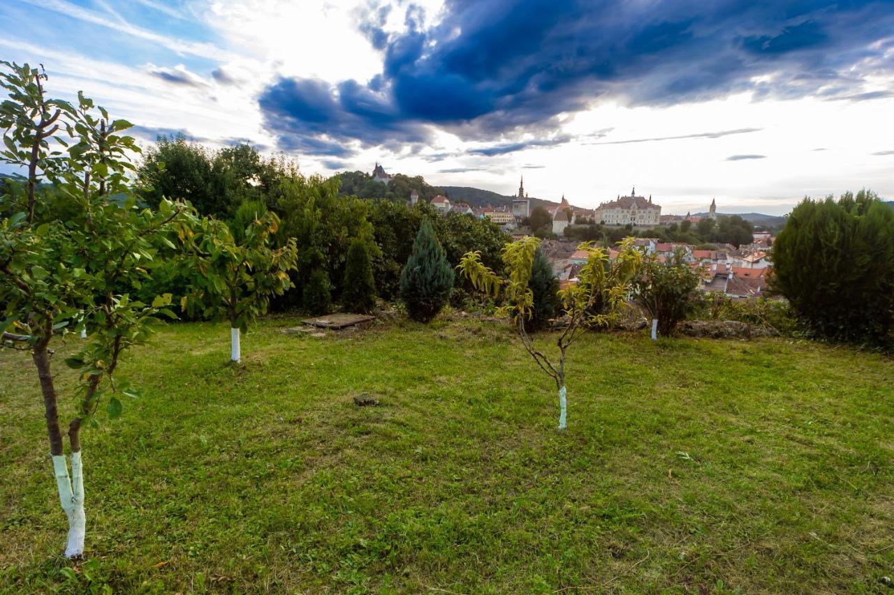 Holiday home Casuta Cu View *