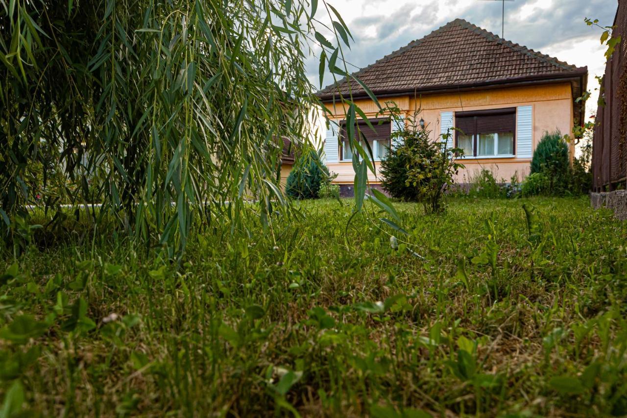 Casuta Cu View